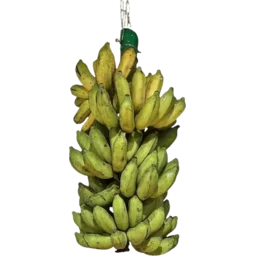 sri lanka banana rack